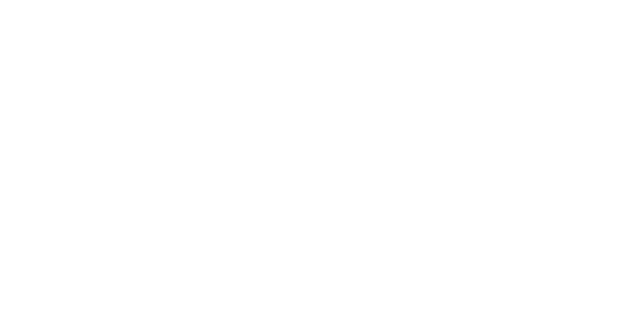 Bay Group of USA LLC